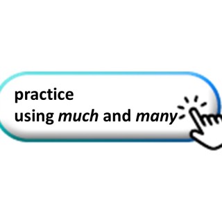 much and many
